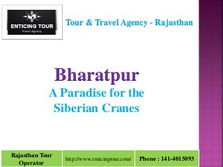 Rajasthan Tour
Operator
http://www.enticingtour.com/ Phone : 141-4015093
Tour & Travel Agency - Rajasthan
Bharatpur
A Paradise for the
Siberian Cranes
 