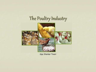 The Poultry Industry
Ajay Shankar Tiwari
 