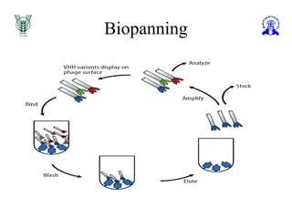 Biopanning
 