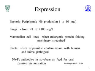 Expression
17
Bacteria- Periplasmic Nb production 1 to 10 mg/l
Fungi - from <1 to >100 mg/l
Mammalian cell lines - when eukaryotic protein folding
machinery is required
Plants - free of possible contamination with human
and animal pathogens
Nb-Fc antibodies in soyabean as feed for oral
passive immunisation De Meyer et al.., 2014
 