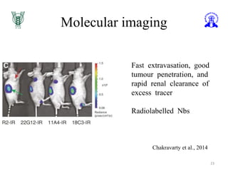 Molecular imaging
23
Chakravarty et al., 2014
Fast extravasation, good
tumour penetration, and
rapid renal clearance of
excess tracer
Radiolabelled Nbs
 