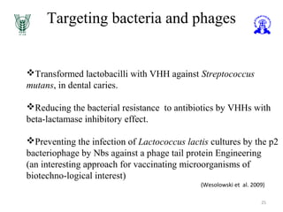 Targeting bacteria and phages
25
Transformed lactobacilli with VHH against Streptococcus
mutans, in dental caries.
Reducing the bacterial resistance to antibiotics by VHHs with
beta-lactamase inhibitory effect.
Preventing the infection of Lactococcus lactis cultures by the p2
bacteriophage by Nbs against a phage tail protein Engineering
(an interesting approach for vaccinating microorganisms of
biotechno-logical interest)
(Wesolowski et al. 2009)
 