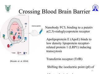 Crossing Blood Brain Barrier
27
Nanobody FC5, binding to a putativ
a(2,3)-sialoglycoprotein receptor
Apolipoprotein E (ApoE) binds to
low density lipoprotein receptor-
related protein 1 (LRP1) inducing
transcytosis
Transferrin receptor (TrfR)
Shifting the isoelectric point (pI) of
(Rissiek et al. 2014)
 