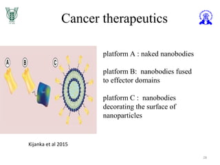Cancer therapeutics
28
platform A : naked nanobodies
platform B: nanobodies fused
to effector domains
platform C : nanobodies
decorating the surface of
nanoparticles
Kijanka et al 2015
 