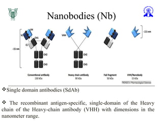 Nanobodies (Nb)
Single domain antibodies (SdAb)
 The recombinant antigen-specific, single-domain of the Heavy
chain of the Heavy-chain antibody (VHH) with dimensions in the
nanometer range.
 