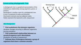 Resolving Taxonomic Uncertainty(To know about the basic of how to solve ...