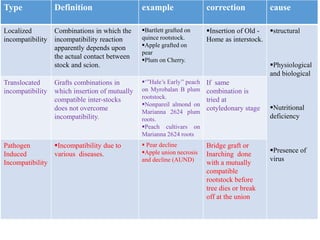 Translocated Incompatibility Rajat seminaar final | PPTX