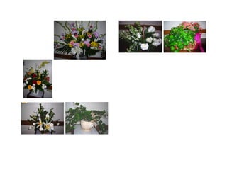 Raj, Edited And Formatted With Pics