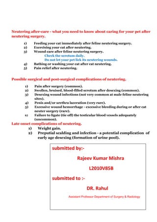 Neutering after-care - what you need to know about caring for your pet after 
neutering surgery. 
1) Feeding your cat immediately after feline neutering surgery. 
2) Exercising your cat after neutering. 
3) Wound care after feline neutering surgery. 
Check the scrotum daily. 
Do not let your pet lick its neutering wounds. 
4) Bathing or washing your cat after cat neutering. 
5) Pain relief after neutering. 
Possible surgical and post-surgical complications of neutering. 
1) Pain after surgery (common). 
2) Swollen, bruised, blood-filled scrotum after desexing (common). 
3) Desexing wound infections (not very common at male feline neutering 
sites). 
4) Penis and/or urethra laceration (very rare). 
5) Excessive wound hemorrhage - excessive bleeding during or after cat 
neuter surgery (rare). 
6) Failure to ligate (tie off) the testicular blood vessels adequately 
(uncommon). 
Late onset complications of neutering. 
1) Weight gain. 
2) Preputial scalding and infection - a potential complication of 
early age desexing (formation of urine pool). 
submitted by:- 
Rajeev Kumar Mishra 
L2010V85B 
submitted to :- 
DR. Rahul 
Assistant Professor Department of Surgery & Radiology 
 