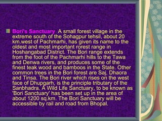 Bori's Sanctuary: A small forest village in the
extreme south of the Sohagpur tehsil, about 20
km.west of Pachmarhi, has given its name to the
oldest and most important rorest range in
Hoshangabad District. The Bori range extends
from the foot of the Pachmarhi hills to the Tawa
and Denwa rivers, and produces some of the
finest teak wood and bamboos in the State. Other
common trees in the Bori forest are Saj, Dhaora
and Tinsa. The Bori river which rises on the west
face of Dhupgarh, is the principle tributary of the
Sanbhadra. A Wild Life Sanctuary, to be known as
'Bori Sanctuary' has been set up in the area of
about 1200 sq.km. The Bori Sanctuary will be
accessible by rail and road from Bhopal.
 