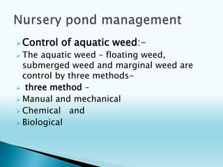 BREEDING AND CULTURE OF CARPS FISHES | PPTX