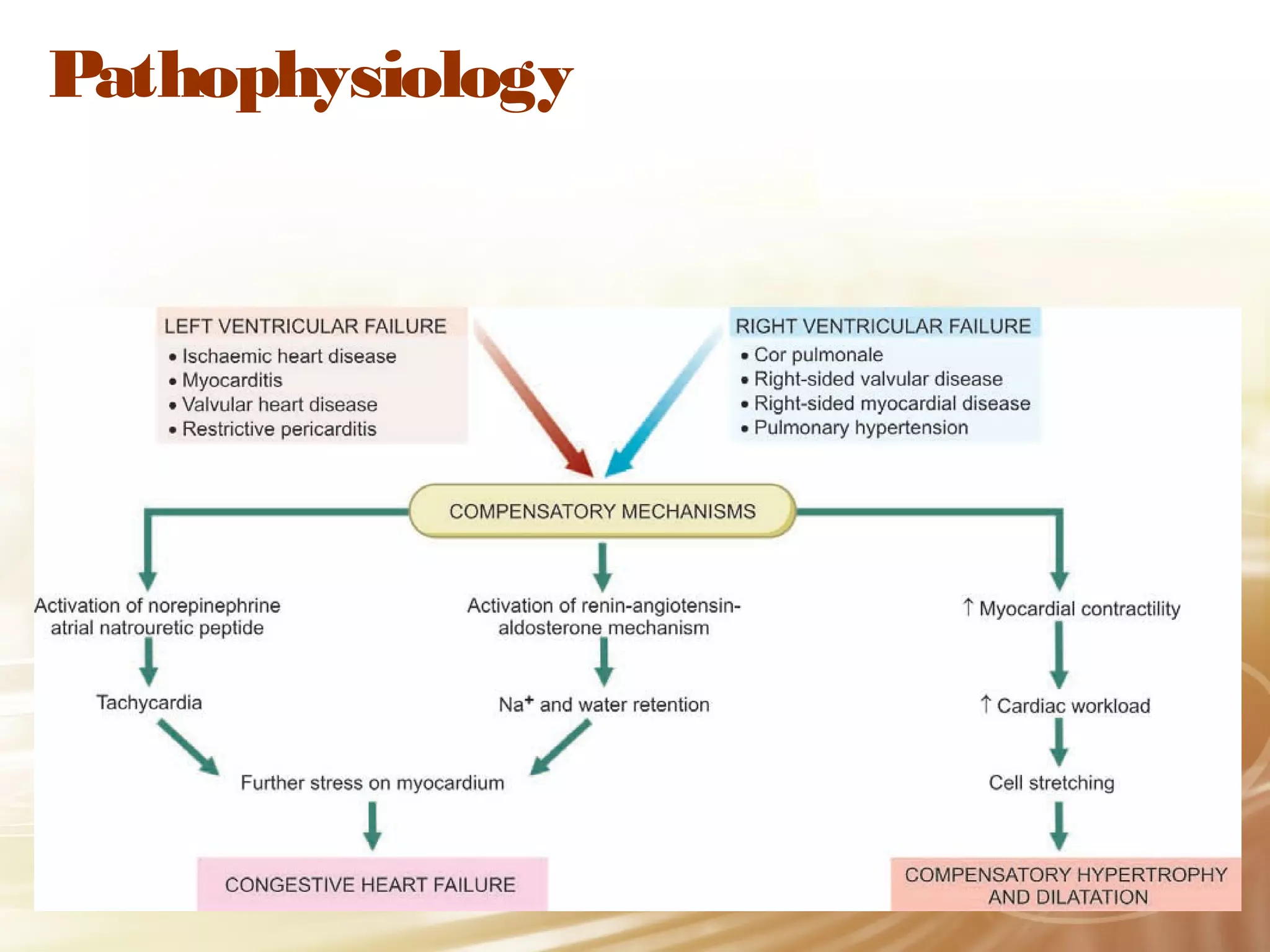 Pathophysiology

 