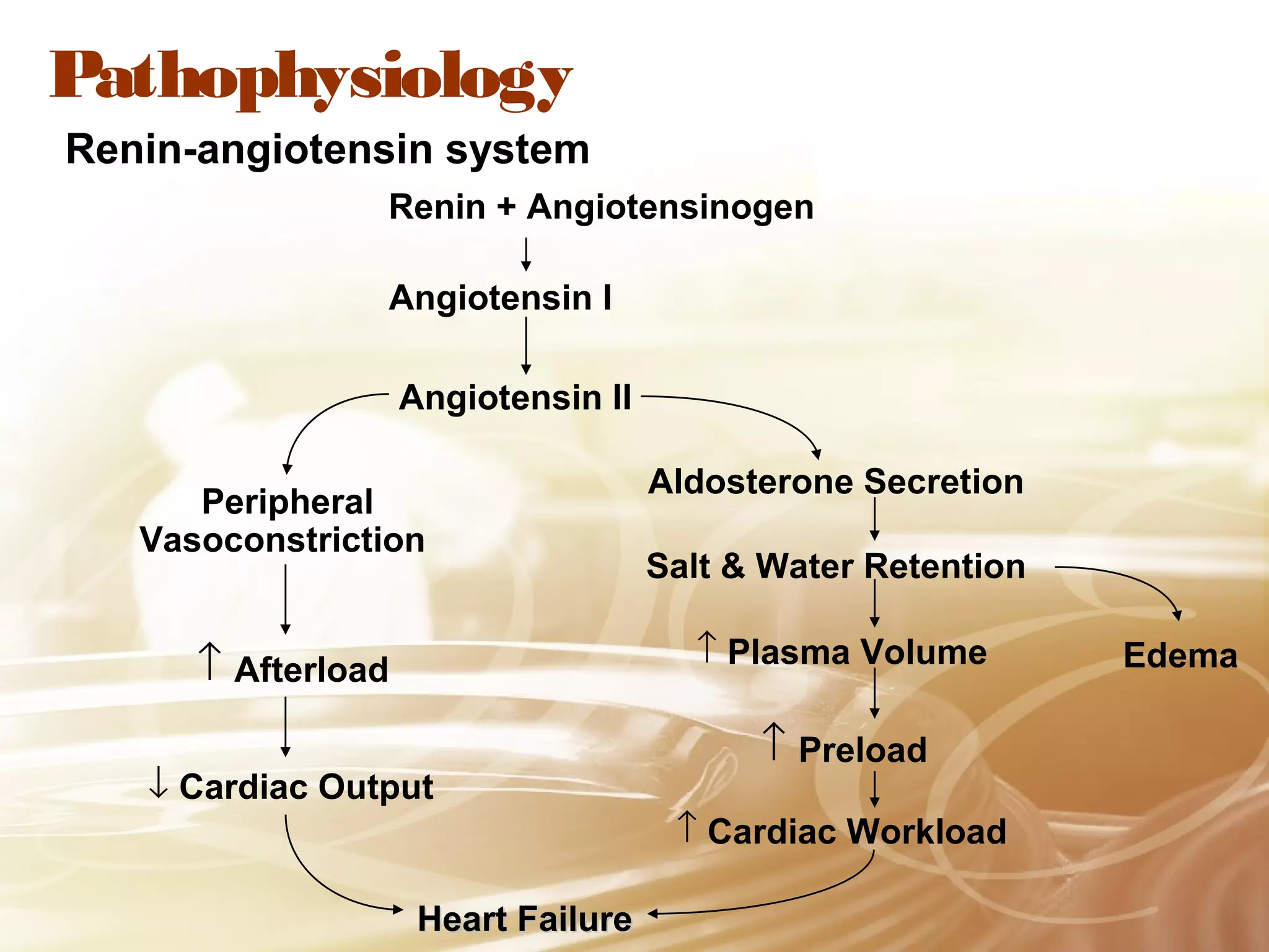 Pathophysiology
Renin-angiotensin system
Renin + Angiotensinogen
Angiotensin I
Angiotensin II
Peripheral
Vasoconstriction

Aldosterone Secretion
Salt & Water Retention
↑ Plasma Volume

↑ Afterload
↓ Cardiac Output

Heart Failure

↑ Preload
↑ Cardiac Workload

Edema

 