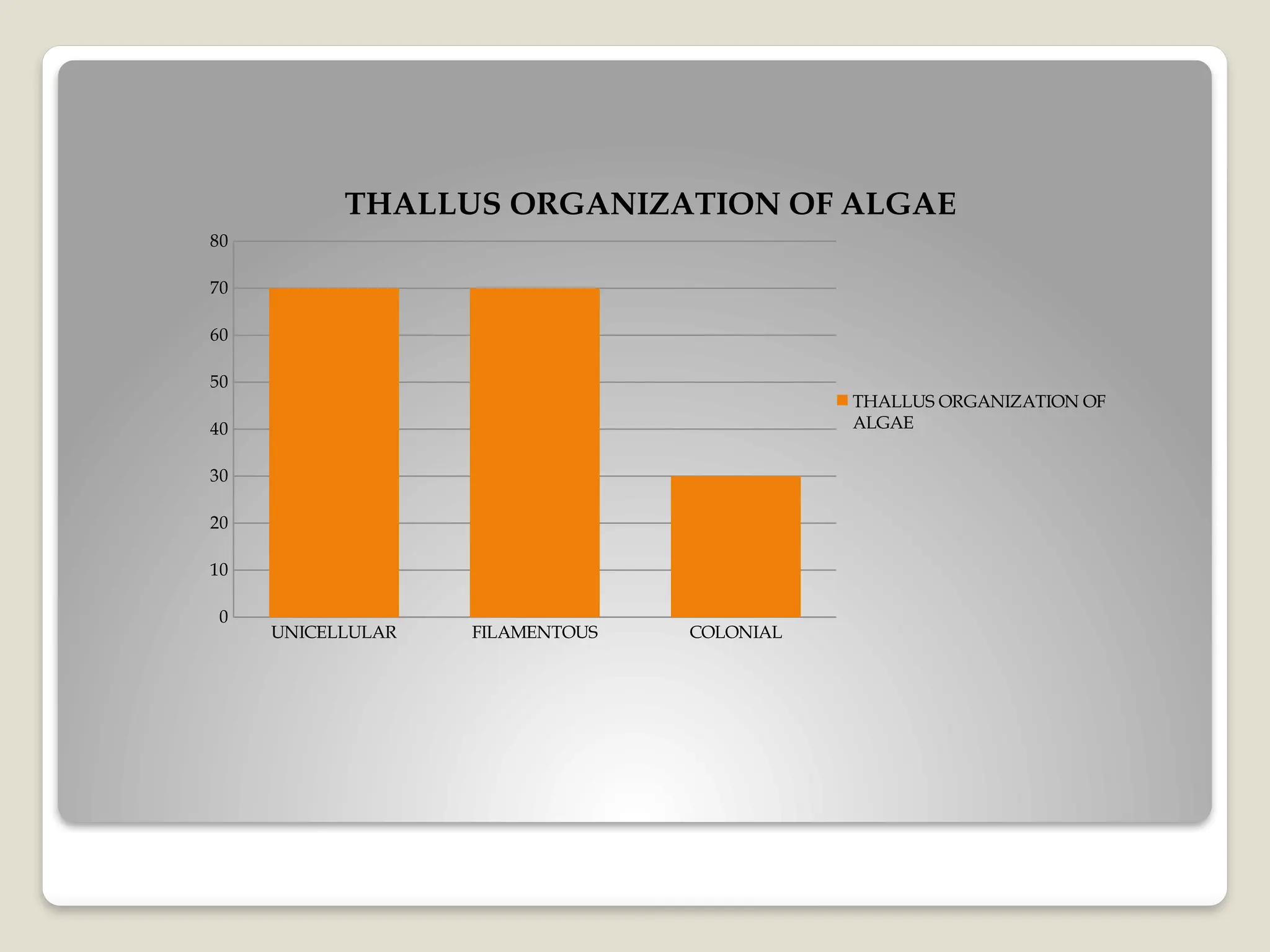 UNICELLULAR FILAMENTOUS COLONIAL
0
10
20
30
40
50
60
70
80
THALLUS ORGANIZATION OF ALGAE
THALLUS ORGANIZATION OF
ALGAE
 