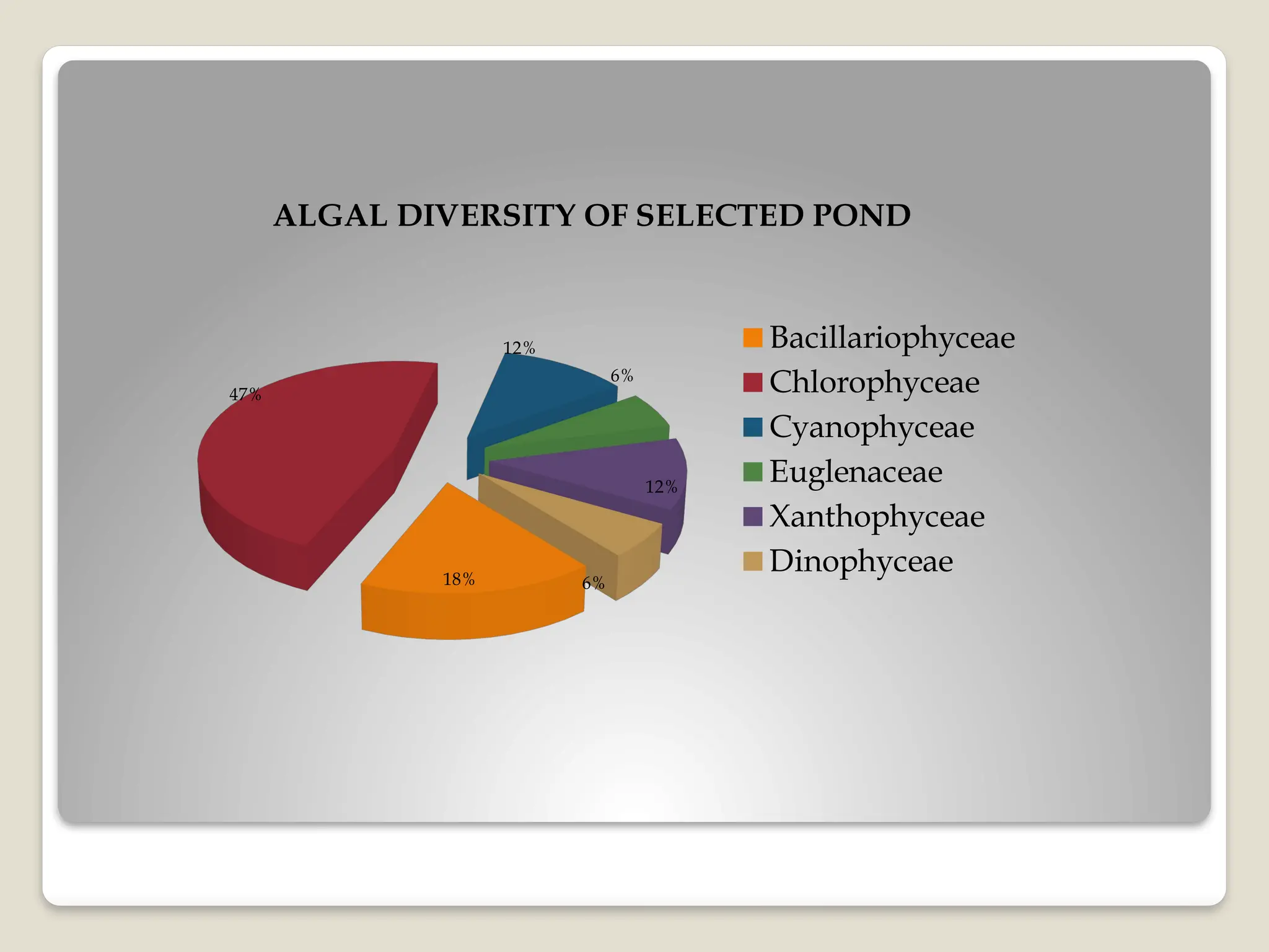 18%
47%
12%
6%
12%
6%
ALGAL DIVERSITY OF SELECTED POND
Bacillariophyceae
Chlorophyceae
Cyanophyceae
Euglenaceae
Xanthophyceae
Dinophyceae
 