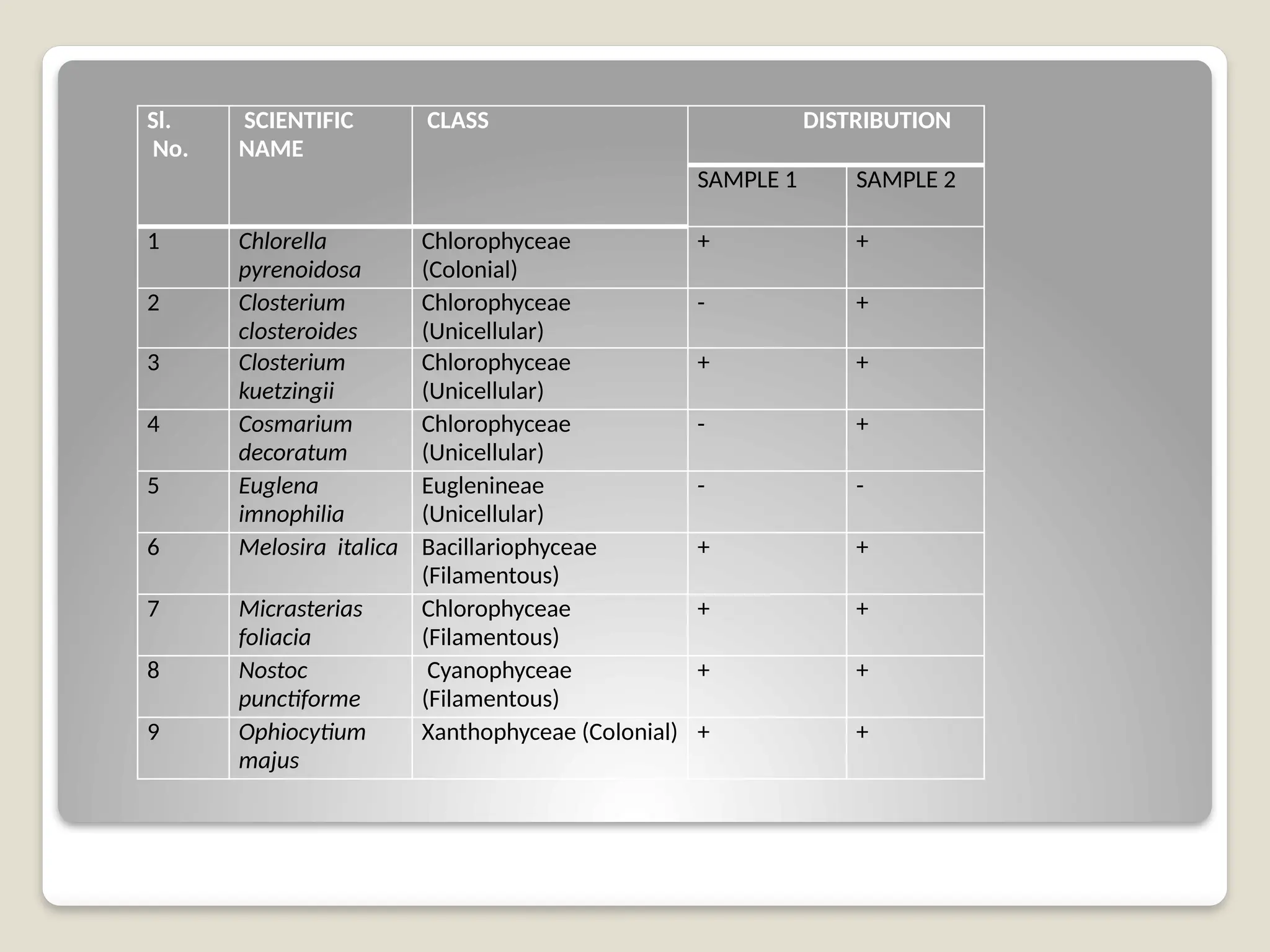 Sl.
No.
SCIENTIFIC
NAME
CLASS DISTRIBUTION
SAMPLE 1 SAMPLE 2
1 Chlorella
pyrenoidosa
Chlorophyceae
(Colonial)
+ +
2 Closterium
closteroides
Chlorophyceae
(Unicellular)
- +
3 Closterium
kuetzingii
Chlorophyceae
(Unicellular)
+ +
4 Cosmarium
decoratum
Chlorophyceae
(Unicellular)
- +
5 Euglena
imnophilia
Euglenineae
(Unicellular)
- -
6 Melosira italica Bacillariophyceae
(Filamentous)
+ +
7 Micrasterias
foliacia
Chlorophyceae
(Filamentous)
+ +
8 Nostoc
punctiforme
Cyanophyceae
(Filamentous)
+ +
9 Ophiocytium
majus
Xanthophyceae (Colonial) + +
 