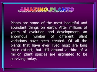 Plants are some of the most beautiful and 
abundant things on earth. After millions of 
years of evolution and development, an 
enormous number of different plant 
variations have been created. Of all the 
plants that have ever lived most are long 
since extinct, but still around a third of a 
million plant species are estimated to be 
surviving today. 
. 
 