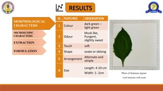 raj ppt.pptx, FORMULATION AND EVALUATION OF Solanum nigrum LEHYA | PPTX