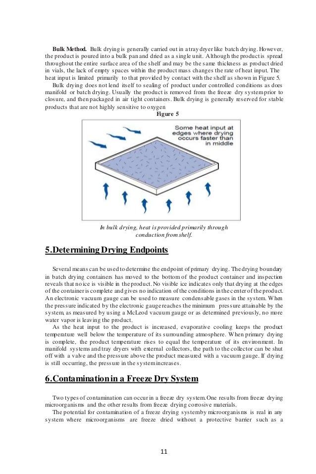 Itnesh kumar freeze drying report