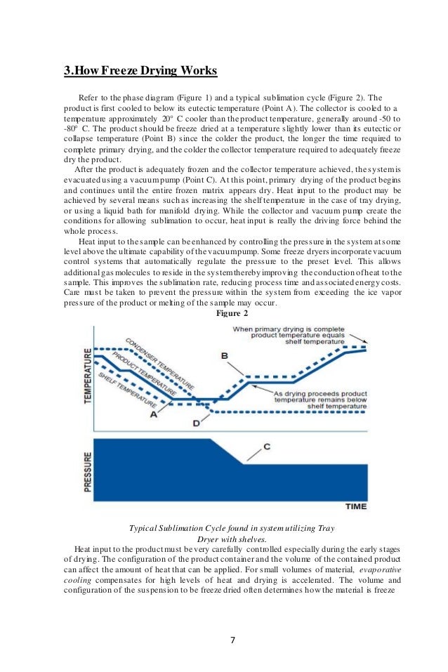 Itnesh kumar freeze drying report