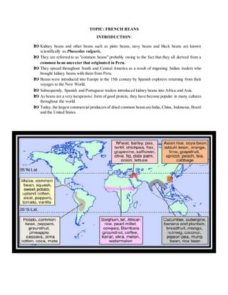 TOPIC: FRENCH BEANS
INTRODUCTION:
 Kidney beans and other beans such as pinto beans, navy beans and black beans are known
scientifically as Phaseolus vulgaris.
 They are referred to as "common beans" probably owing to the fact that they all derived from a
common bean ancestor that originated in Peru.
 They spread throughout South and Central America as a result of migrating Indian traders who
brought kidney beans with them from Peru.
 Beans were introduced into Europe in the 15th century by Spanish explorers returning from their
voyages to the New World.
 Subsequently, Spanish and Portuguese traders introduced kidney beans into Africa and Asia.
 As beans are a very inexpensive form of good protein, they have become popular in many cultures
throughout the world.
 Today, the largest commercial producersof dried common beansare India, China, Indonesia, Brazil
and the United States.
 