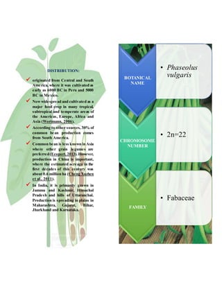 BOTANICAL
NAME
• Phaseolus
vulgaris
CHROMOSOME
NUMBER
• 2n=22
FAMILY
• Fabaceae
DISTRIBUTION:
 originated from Central and South
America, where it was cultivated as
early as 6000 BC in Peru and 5000
BC in Mexico.
 Nowwidespread and cultivated as a
major food crop in many tropical,
subtropical and temperate areas of
the Americas, Europe, Africa and
Asia (Wortmann, 2006).
 According to other sources, 30% of
common bean production comes
from South America.
 Common bean is less known in Asia
where other grain legumes are
preferred(Ecoport,2013).However,
production in China is important,
where the estimated acreage in the
first decades of this century was
about 0.6 million ha (Cheng Xuzhen
et al., 2011).
 In India, it is primarily grown in
Jammu and Kashmir, Himachal
Pradesh and hills of Uttaranchal.
Production is spreading in plains in
Maharashtra, Gujarat, Bihar,
Jharkhand and Karnataka.
 