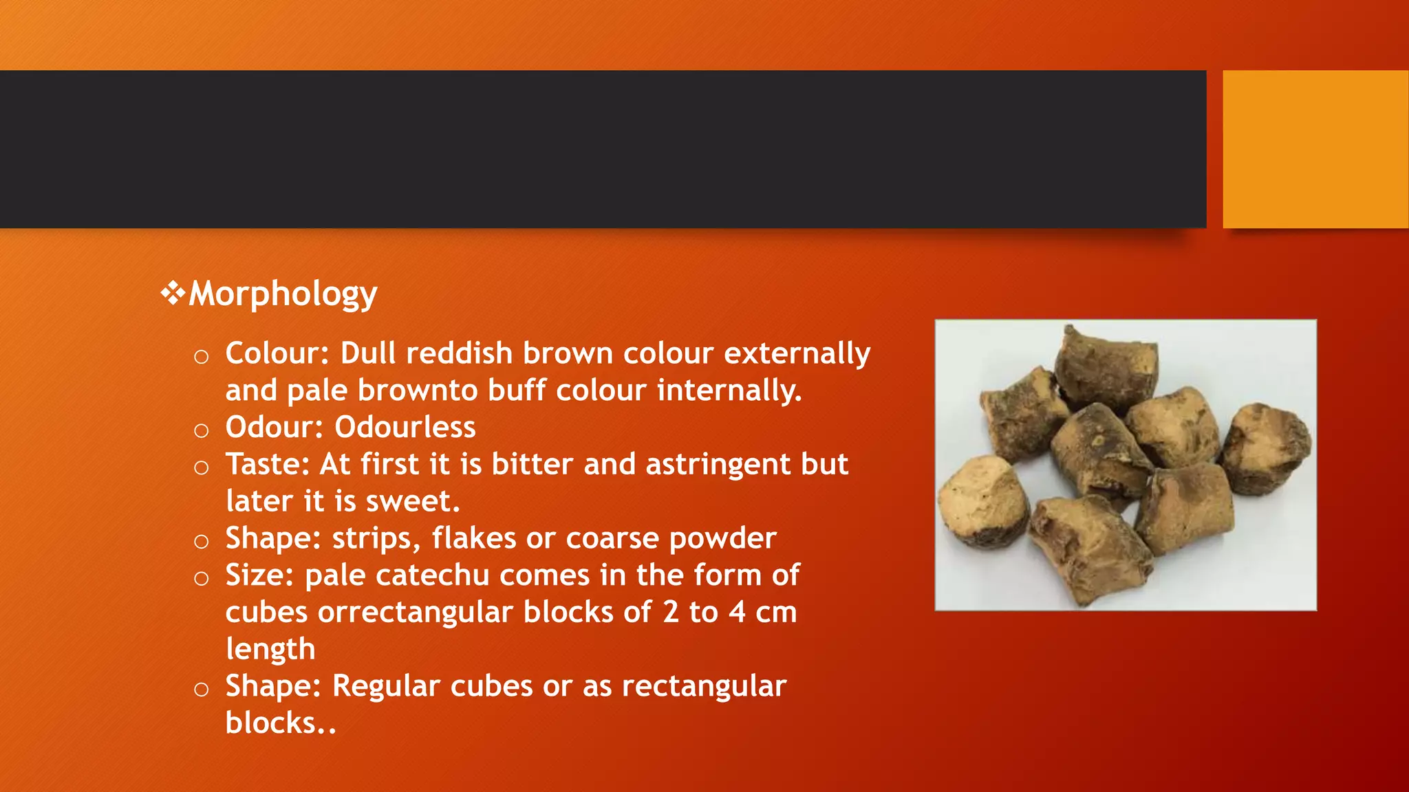 CATECHU | PPTX
