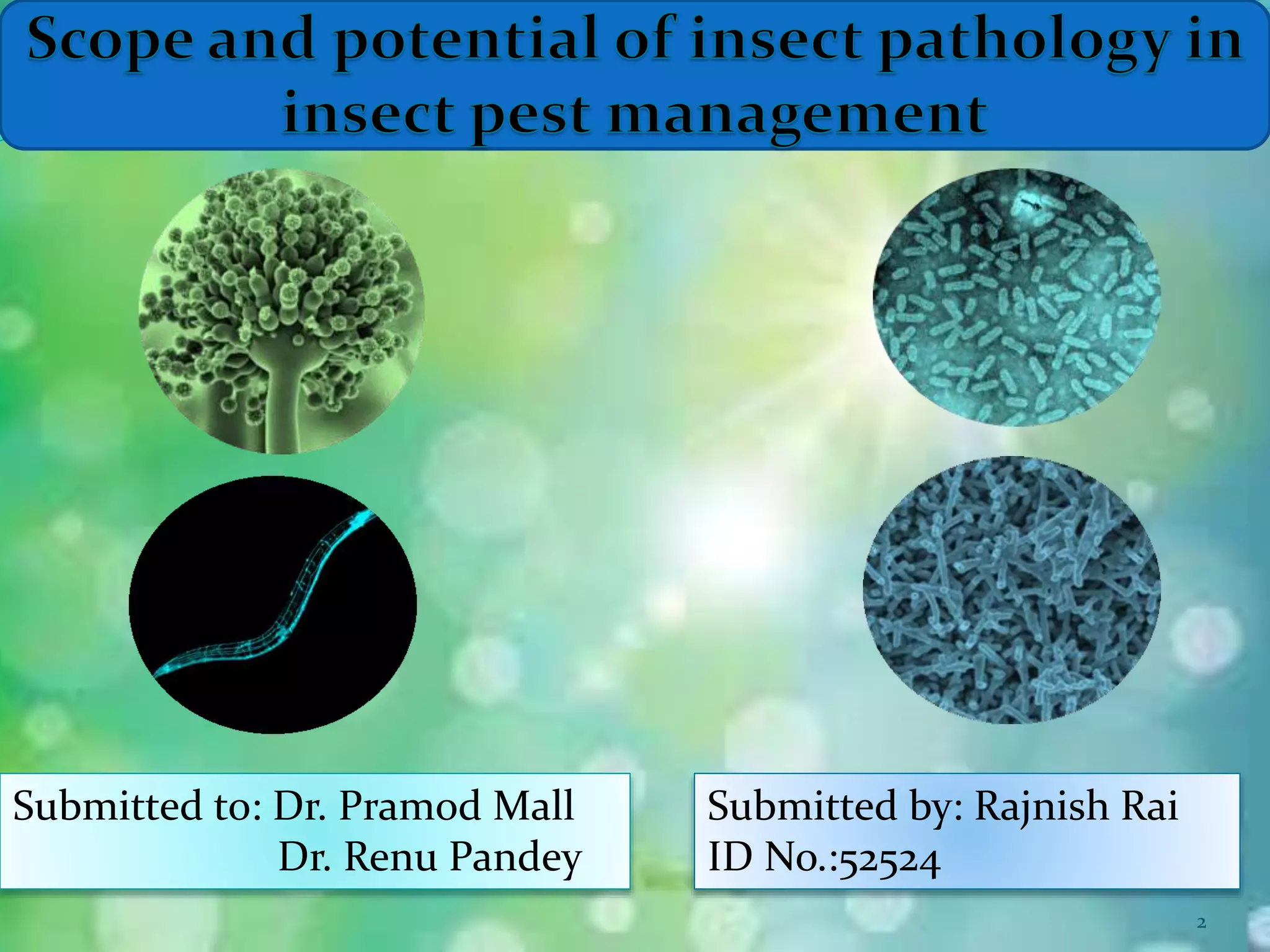 Pusta Insect insect pest management | PPT