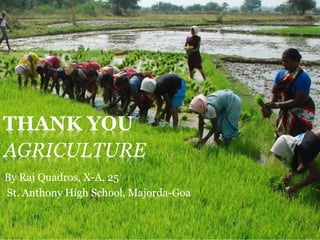 By Raj Quadros, X-A, 25
St. Anthony High School, Majorda-Goa
 