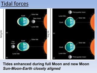 Tidal forces
Tides enhanced during full Moon and new Moon
Sun-Moon-Earth closely aligned
 