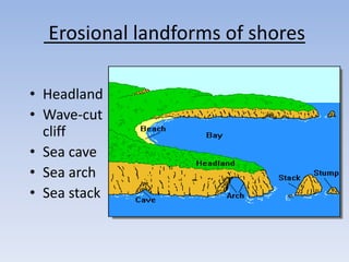 Erosional landforms of shores
• Headland
• Wave-cut
cliff
• Sea cave
• Sea arch
• Sea stack
 