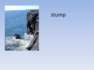 stump
 