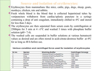 Source and isolation of erythrocytes:
 Erythrocytes from mammalians like mice, cattle, pigs, dogs, sheep, goats,
monkeys, chicken, rats and rabbits.
 Fresh whole blood is the blood that is collected heparinized tubes by
venipuncture withdrawn from cardiac/splenic puncture in a syringe
containing a drop of anti coagulant, immediately chilled to 4ºC and stored
for less than 2 days.
 The erythrocytes are then seperated from serum coats by centrifugation at
2500rpm for 5 min at 4 ±1ºC and washed 3 times with phosphate buffer
solution (pH= 7.4).
 The washed cells are suspended in buffer solutions at various hematocrit
values as desired and are often stored in acid-citrate-dextrose buffer at 4ºC
for as long as 48 h before use.
 