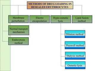 Membrane
perturbation
Electro
encapsulation
Hypo-osmotic
lysis
Lipid fusion
method
Dialysis method
Preswell method
Dilution method
METHODS OF DRUG LOADING IN
RESEALED ERYTHROCYTES
Osmotic-lysis
Endocytosis
method
Normal transport
mechanism
 