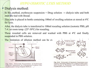 HYPO OSMOTIC LYSIS METHOD
 Dialysis method:
- In this method, erythrocyte suspension + Drug solution → dialysis tube and both
ends are tied with thread.
- This tube is placed in bottle containing 100ml of swelling solution at stored at 4ºC
for lysis.
- After, the dialysis tube is transferred to 100ml resealing solution (isotonic PBS, pH
7.4 ) at room temp. (25º-30ºC) for resealing.
- These resealed cells are removed and washed with PBS at 4ºC and finally
suspended in PBS solution.
- The limitation of dilution method can be overcome by carrying out lysis and
resealing in the same dialysis tube.
 