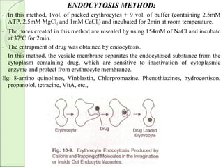 ENDOCYTOSIS METHOD:
- In this method, 1vol. of packed erythrocytes + 9 vol. of buffer (containing 2.5mM
ATP, 2.5mM MgCl2 and 1mM CaCl2) and incubated for 2min at room temperature.
- The pores created in this method are resealed by using 154mM of NaCl and incubate
at 37ºC for 2min.
- The entrapment of drug was obtained by endocytosis.
- In this method, the vesicle membrane separates the endocytosed substance from the
cytoplasm containing drug, which are sensitive to inactivation of cytoplasmic
enzyme and protect from erythrocyte membrance.
Eg: 8-amino quinolines, Vinblastin, Chlorpromazine, Phenothiazines, hydrocortison,
propanolol, tetracine, VitA, etc.,
 