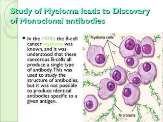 Study of Myeloma leads to DiscoveryStudy of Myeloma leads to Discovery
of Monoclonal antibodiesof Monoclonal antibodies
 In the 1970’s the B-cell
cancer myeloma was
known, and it was
understood that these
cancerous B-cells all
produce a single type
of antibody.This was
used to study the
structure of antibodies,
but it was not possible
to produce identical
antibodies specific to a
given antigen.
 