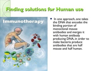 Finding solutions for Human useFinding solutions for Human use
 In one approach, one takes
the DNA that encodes the
binding portion of
monoclonal mouse
antibodies and merges it
with human antibody
producing DNA, in order to
make bacteria produce
antibodies that are half
mouse and half human.
 