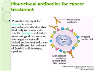 Monoclonal antibodies for cancerMonoclonal antibodies for cancer
treatmenttreatment
 Possible treatment for
cancer involves
monoclonal antibodies that
bind only to cancer cells
specific antigen and induce
immunological response on
the target cancer cell
(naked antibodies). mAb can
be modificated for delivery
of [toxin], radioisotope,
cytokine.
 