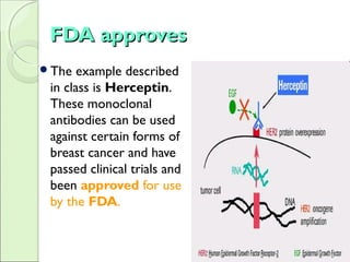 FDA approvesFDA approves
The example described
in class is Herceptin.
These monoclonal
antibodies can be used
against certain forms of
breast cancer and have
passed clinical trials and
been approved for use
by the FDA.
 