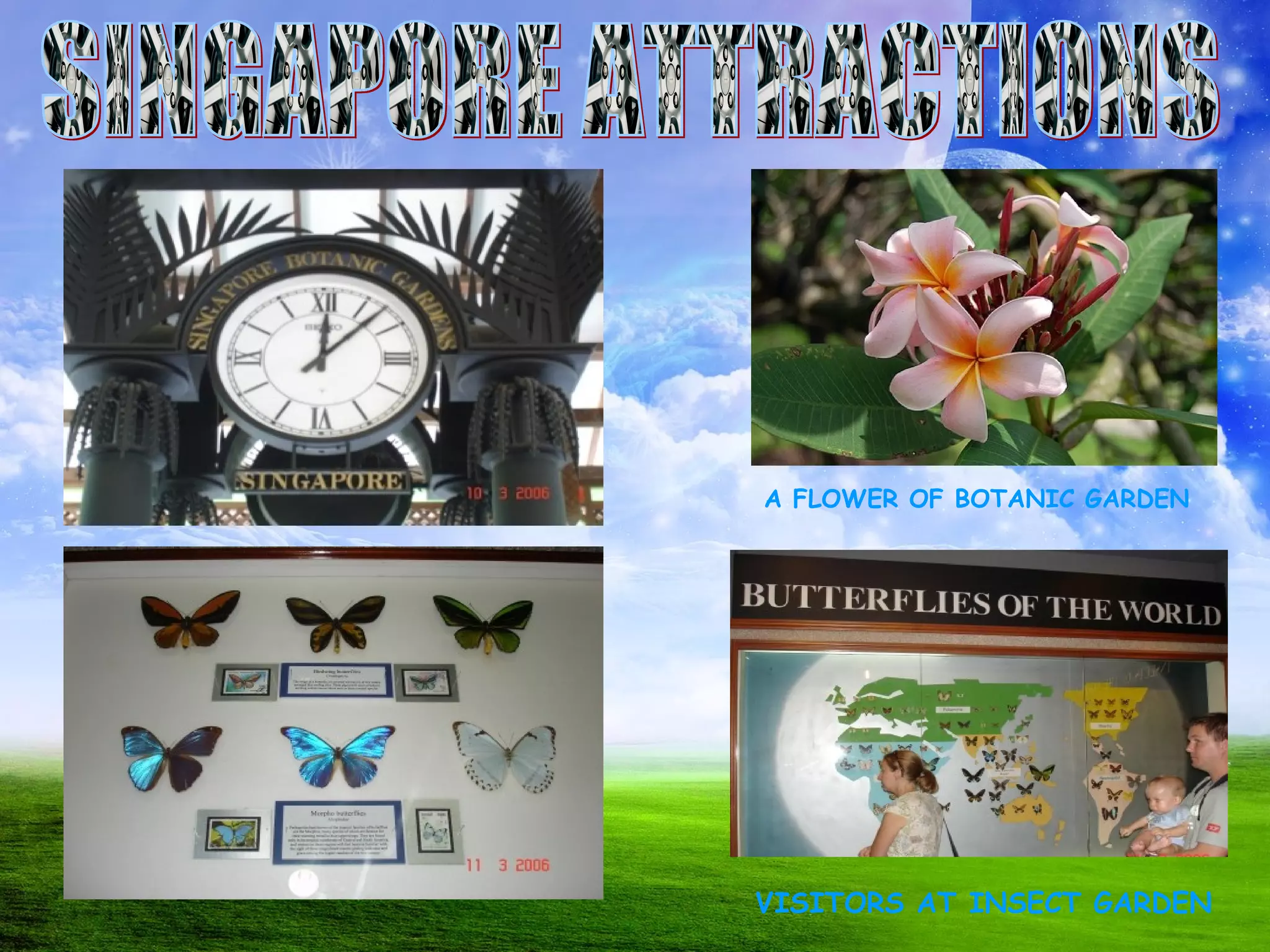 SINGAPORE ATTRACTIONS A FLOWER OF BOTANIC GARDEN VISITORS AT INSECT GARDEN 