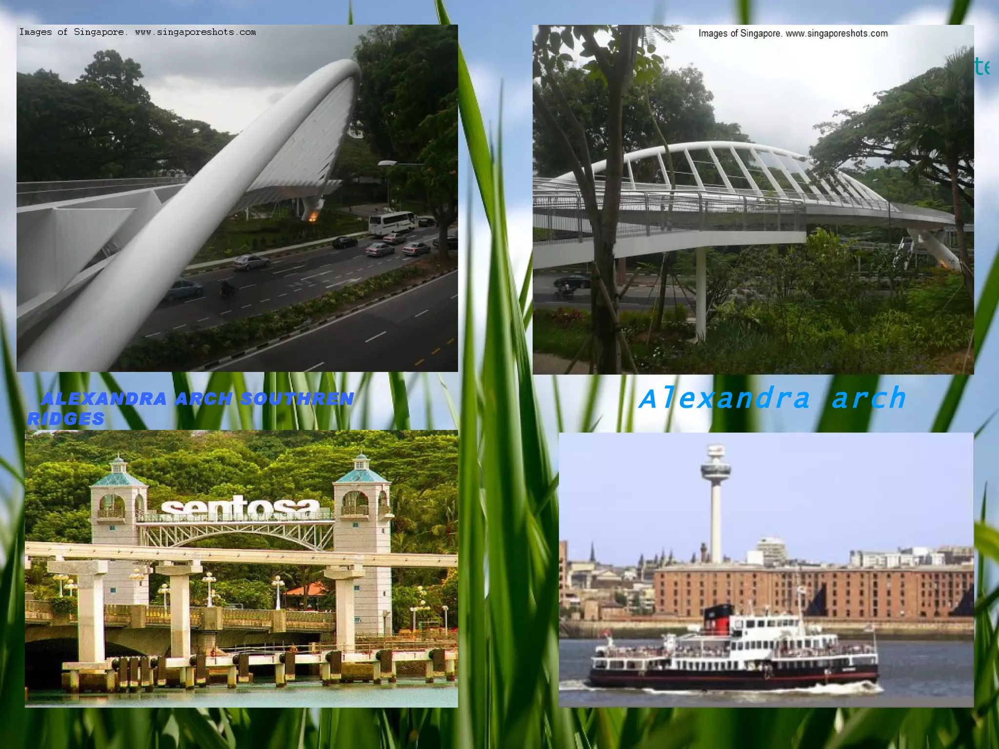 Terrace HousesCityArchitecture ALEXANDRA ARCH SOUTHREN RIDGES Alexandra arch 