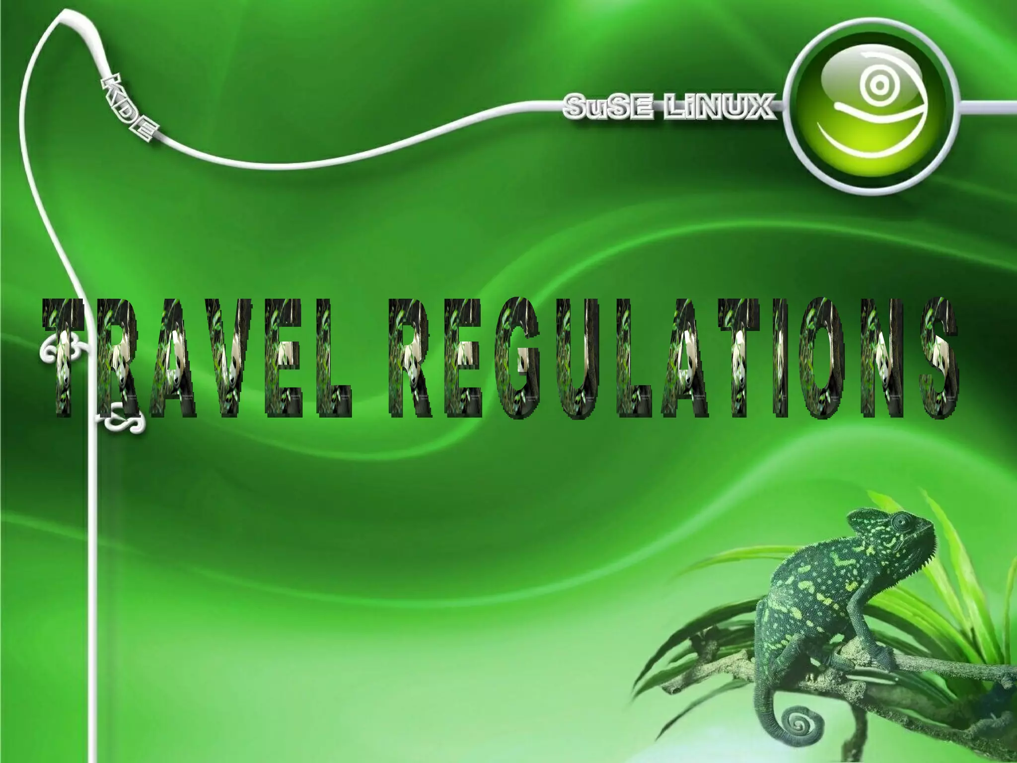 TRAVEL REGULATIONS 