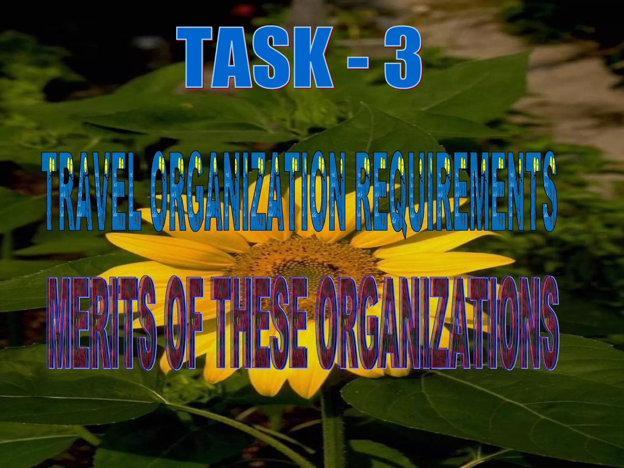 TASK - 3 TRAVEL ORGANIZATION REQUIREMENTS MERITS OF THESE ORGANIZATIONS 