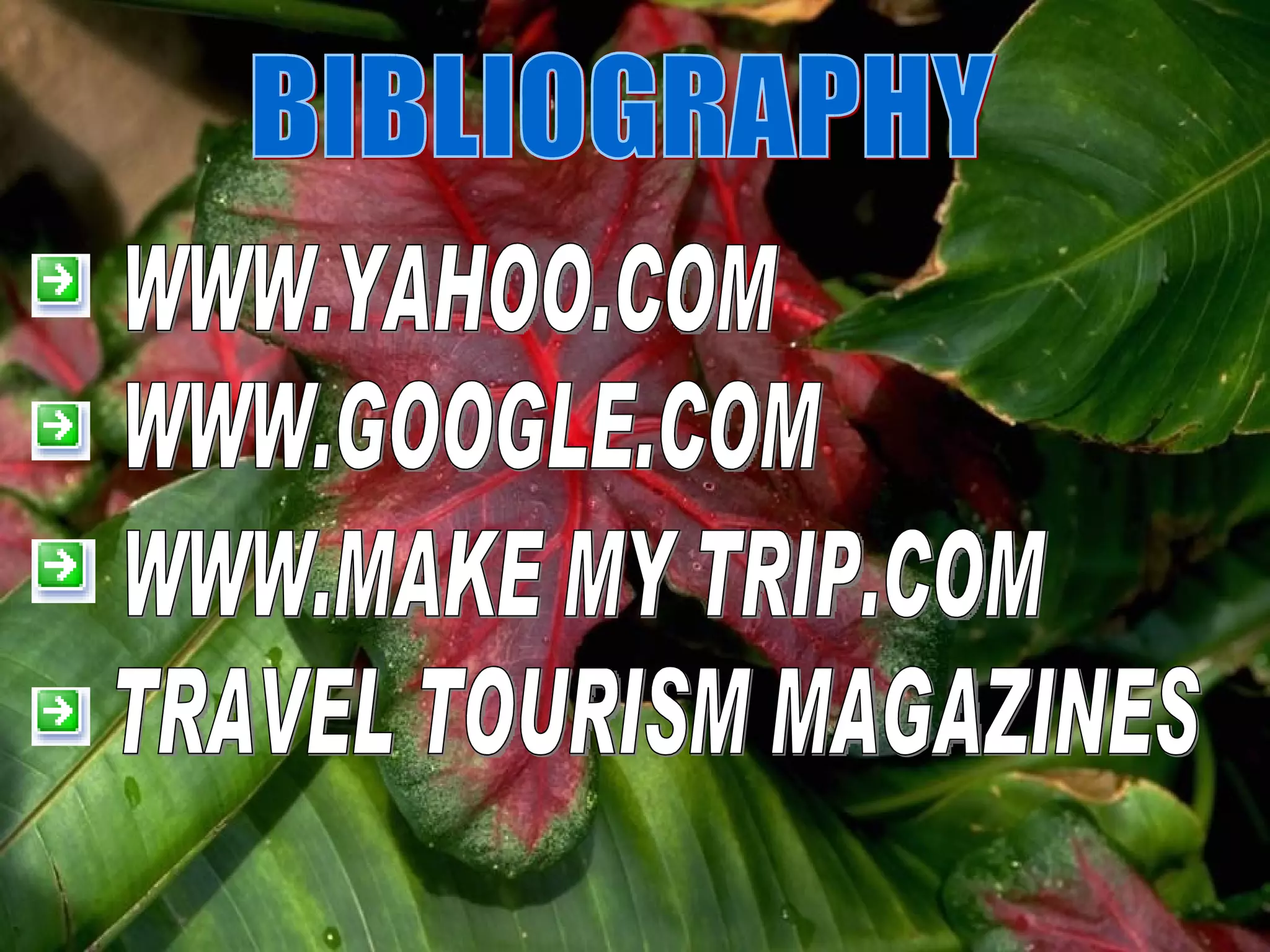 BIBLIOGRAPHY WWW.YAHOO.COM WWW.MAKE MY TRIP.COM WWW.GOOGLE.COM TRAVEL TOURISM MAGAZINES 