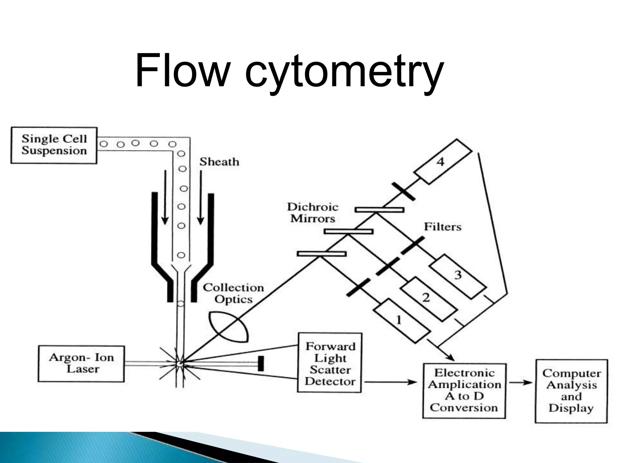 Flow cytometry
 