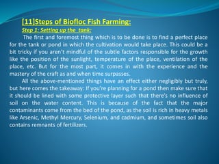 Biofloc Fish Farming Training.pdf Bio Floc Fish Farming. | PDF