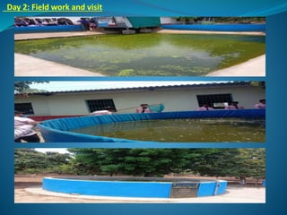 Biofloc Fish Farming Training.pdf Bio Floc Fish Farming. | PDF