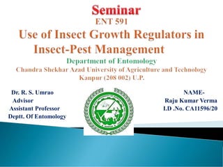 Dr. R. S. Umrao NAME-
Advisor Raju Kumar Verma
Assistant Professor I.D .No. CA11596/20
Deptt. Of Entomology
 