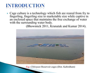  Cage culture is a technology which fish are reared from fry to
fingerling, fingerling size to marketable size while captive in
an enclosed space that maintains the free exchange of water
with the surrounding water body.
(Bhowmick 2011, Kranatak and Kumar 2014).
Fig- Chhirpani Reservoir cages (Dist. Kabirdham)
 
